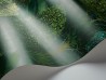 Papel de parede Forest 115-9028 - COLE and SON