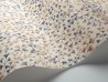 Papel Pintado Maidenhair 115-6020 - COLE and SON