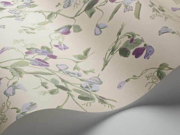 Carta da Parati Sweet Pea 100-6030 - COLE and SON