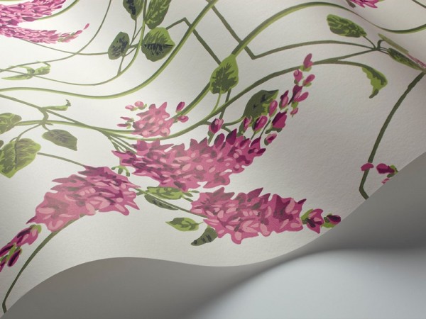 Carta da Parati Wisteria 115-5013 - COLE and SON