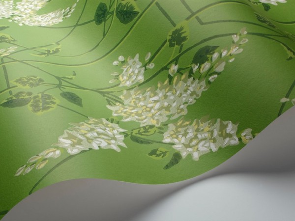 Carta da Parati Wisteria 115-5016 - COLE and SON