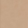61972 JAPON BLUSH