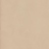 61989 JAPON FLAX