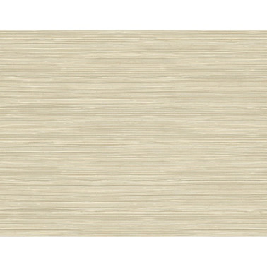 Papel Pintado BW40905 GRASSCLOTH TEXTURE - WALLQUEST