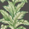 TP81200 BIG LEAF