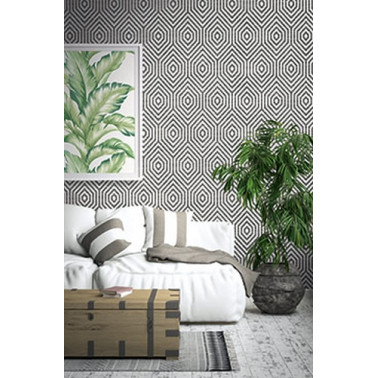 TP80518 HEXAGON GEOMETRIC