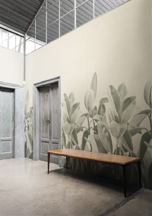 Wallpaper RUBBER PLANT 18056-2 - LONDON ART