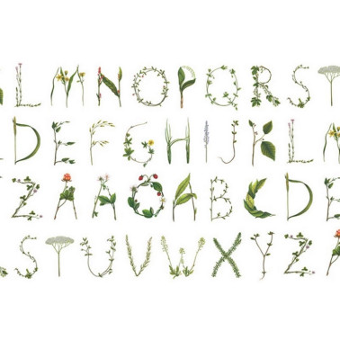 R13195 ALPHABET FLORAL