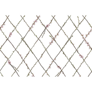 Papel de parede R13221 WINDING SPRING - REBEL WALLS