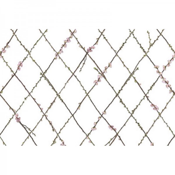 Papel de parede R13221 WINDING SPRING - REBEL WALLS Papel de parede R13221 WINDING SPRING - REBEL WALLS