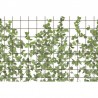 Papier peint R13993 CLIMBING CLOROFYL - REBEL WALLS