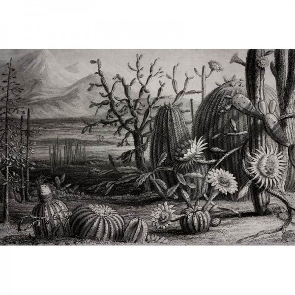 Papier peint R15741 CACTUS GARDEN - REBEL WALLS Papier peint R15741 CACTUS GARDEN - REBEL WALLS