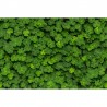 Tapete R15841 CLOVER - REBEL WALLS