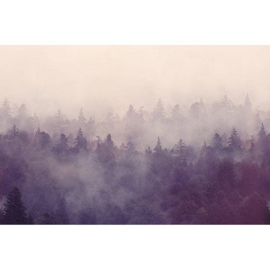Tapete R16001 FIR FOREST - REBEL WALLS