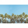 Tapete R16051 RIVIERA DAYDREAM - REBEL WALLS