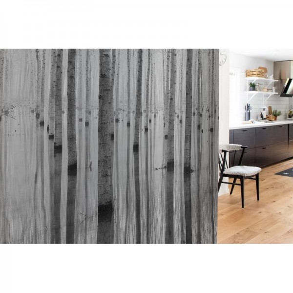 Carta da Parati R16061 BIRCH ECHO - REBEL WALLS