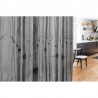 Carta da Parati R16061 BIRCH ECHO - REBEL WALLS