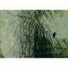 Papel de parede ALBA SALIX WDAS1802 - WALL AND DECO