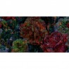 Tapete SLOW MOTION WDSM1802 - WALL AND DECO
