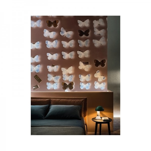 Carta da Parati X-RAY WDXR1801 - WALL AND DECO