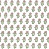 LCW-1018-005 ROSA PLASENCE