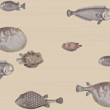 Papel de parede Acquario 114-16033 - COLE and SON