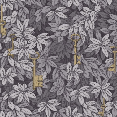 Wallpaper Chiavi Segrete 114-26051 - COLE and SON