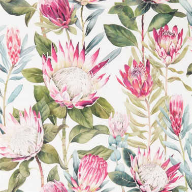 Carta da Parati KING PROTEA DGLW216646 Rodera/Cream - Sanderson