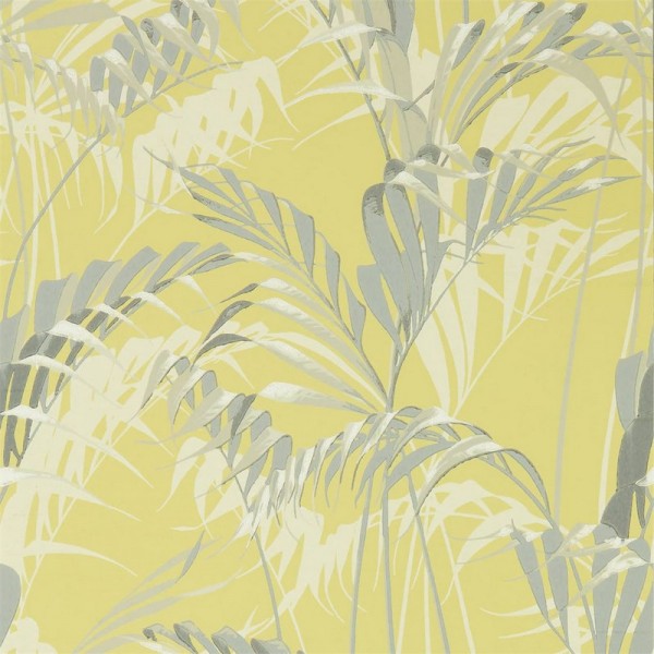 PALM HOUSE DGLW216642 Chartreuse/Grey