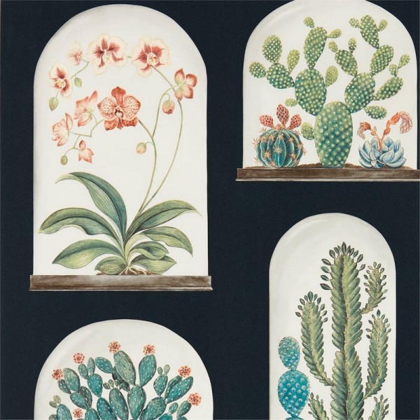 Papier peint TERRARIUMS DGLW216658 Ink/Multi - Sanderson Papier peint TERRARIUMS DGLW216658 Ink/Multi - Sanderson
