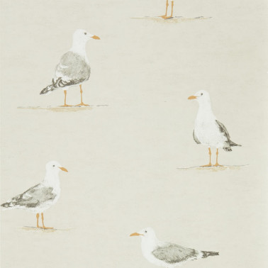 SHORE BIRDS DCOA216563