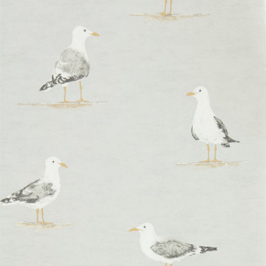 SHORE BIRDS DCOA2165