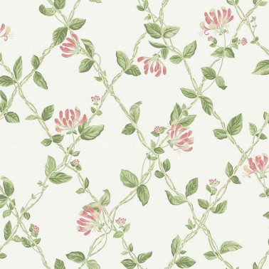 Papel Pintado Honeysuckle 8852 - BORAS TAPETER