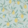 Lemon Tree 216674 Wedgewood