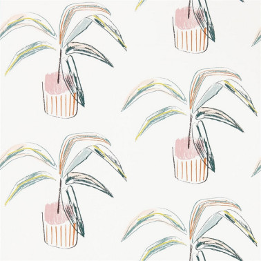 Carta da Parati Crassula 111992 Blush Mint - SCION