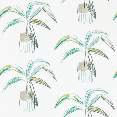 Papel de parede Crassula 111993 Juniper Lime - SCION