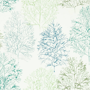 Papel Pintado Soetsu 112002 Kiwi Slate - SCION