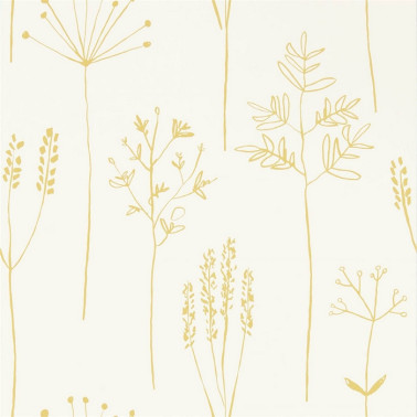 Papel Pintado Stipa 112021 Honey - SCION