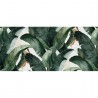 Wallpaper M3203-1 Balo - Tres Tintas