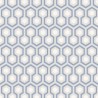 Hicks' Hexagon 66-8054