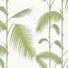 Folhas de palma 95-1009