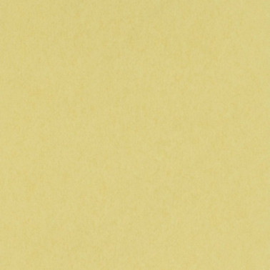 Papier peint Chroma w7360-05 - OSBORNE and LITTLE