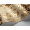 Papel Pintado Boscobel Oak 116-10037 - COLE and SON