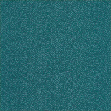 Papier lackiert 100406301 - Ja. Caselio