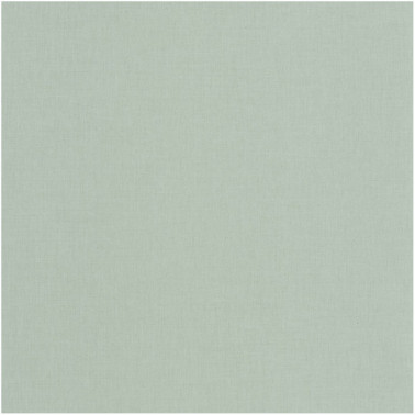 Papier lackiert 100607100 - Ja. Caselio