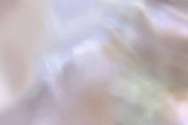 Papel de parede Pearl GLLP79A - GLAMORA