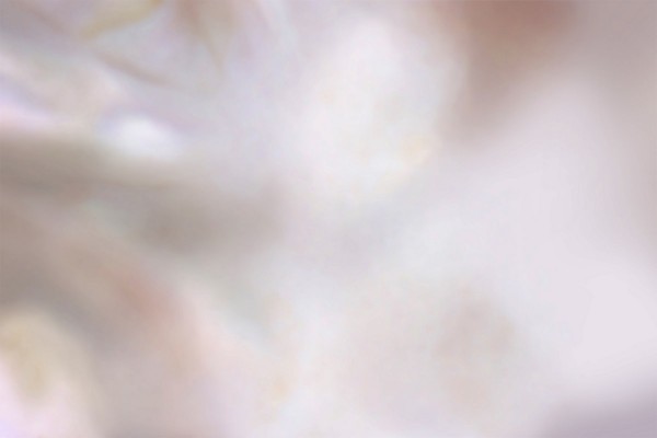 Papier peint Pearl GLLP79B - GLAMORA