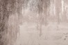 Papier peint Poeme GLIX491B - GLAMORA