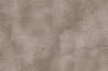 Wallpaper Radici GLIX531A - GLAMORA