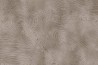Wallpaper Radici GLIX531B - GLAMORA